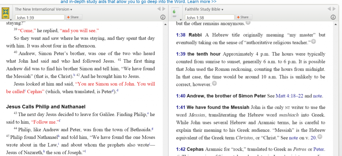 study bible view